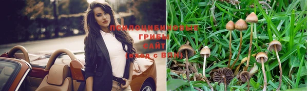 таблы Богородск