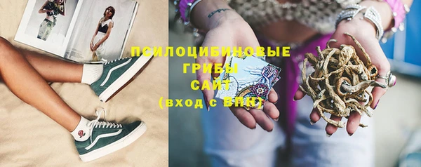 винт Белокуриха